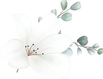 https://annadacouture.com/wp-content/uploads/2020/12/floating_image_16.png