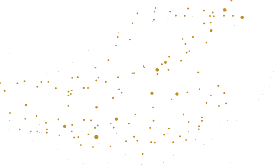 https://annadacouture.com/wp-content/uploads/2020/12/floating_image_17.png