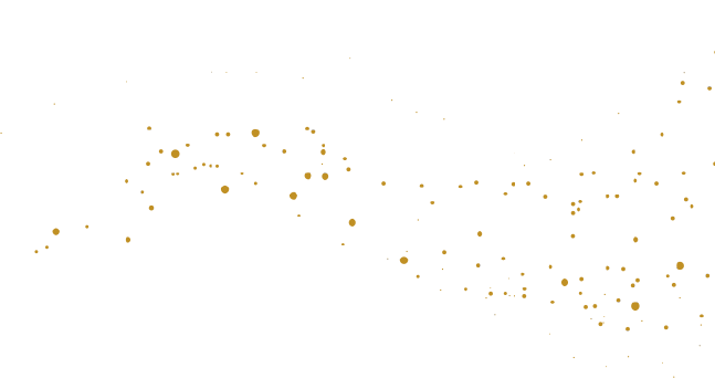 https://annadacouture.com/wp-content/uploads/2020/12/floating_image_18.png