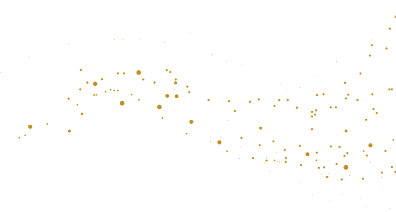 https://annadacouture.com/wp-content/uploads/2020/12/floating_image_19.png